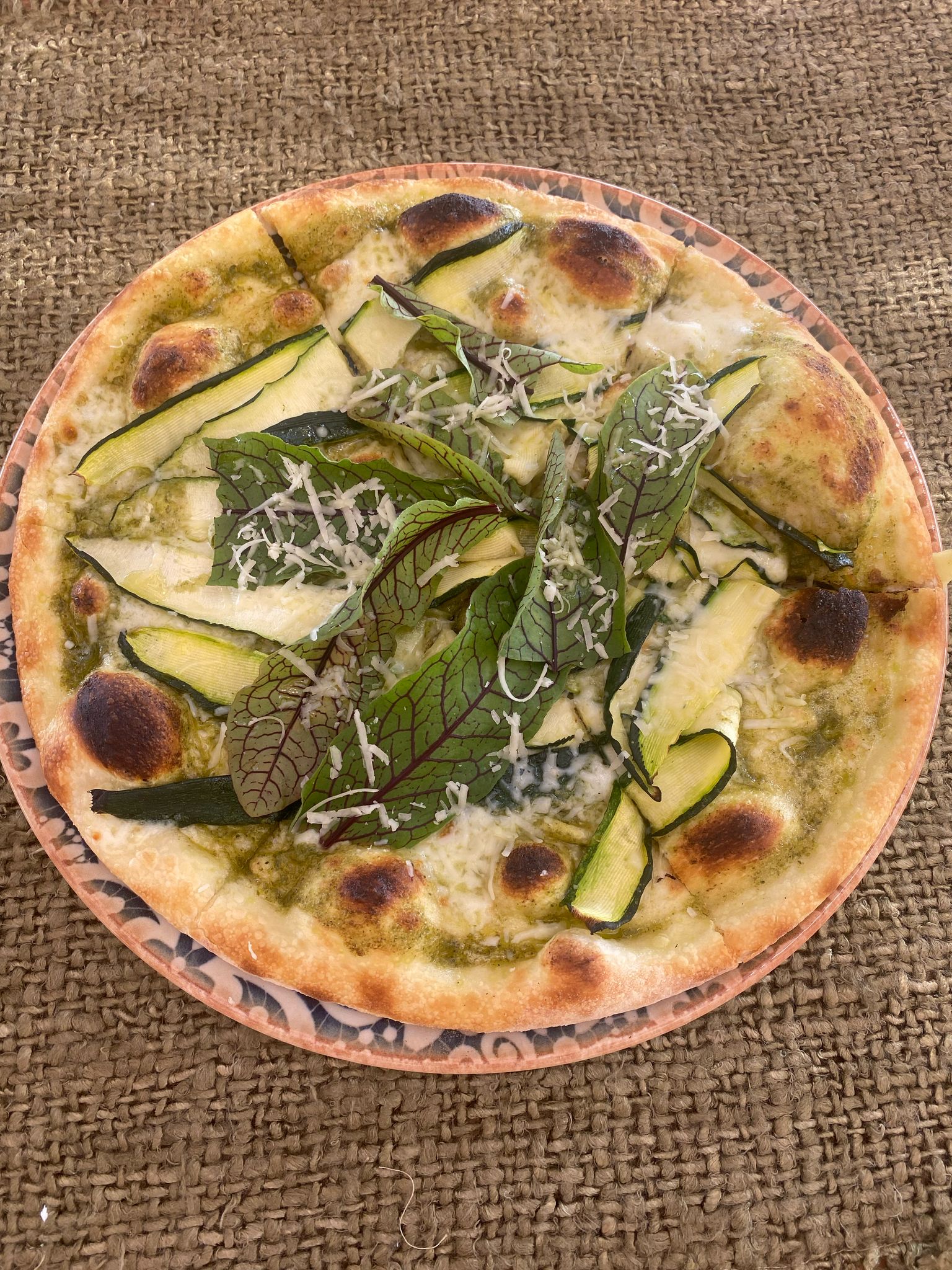 GRİT KABAĞI & FESLEĞEN